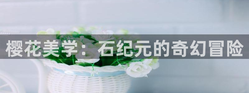 omofun网页版地址：樱花美学：石纪元的奇幻冒险