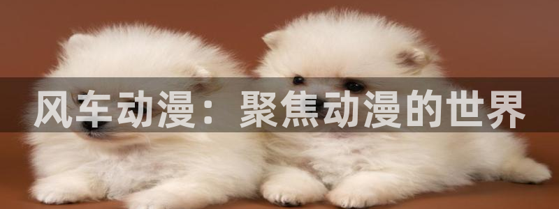 omofun下载入口：风车动漫：聚焦动漫的世界