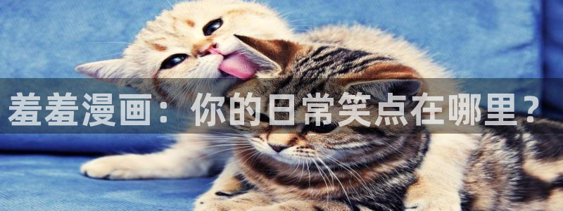 omofun是正经软件吗：羞羞漫画：你的日常笑点在哪里？