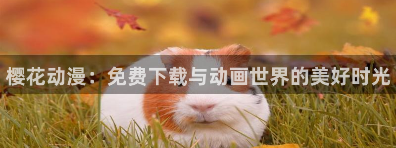 omofunapp：樱花动漫：免费下载与动画世界的美好时光