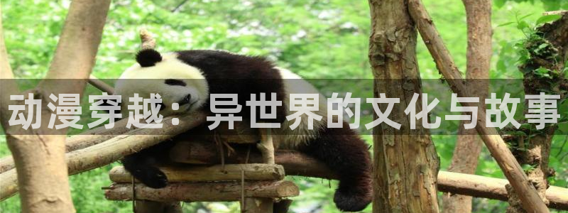 omofun完整版：动漫穿越：异世界的文化与故事