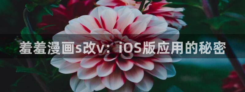 omofun网站入口：羞羞漫画s改v：iOS版应用的秘密