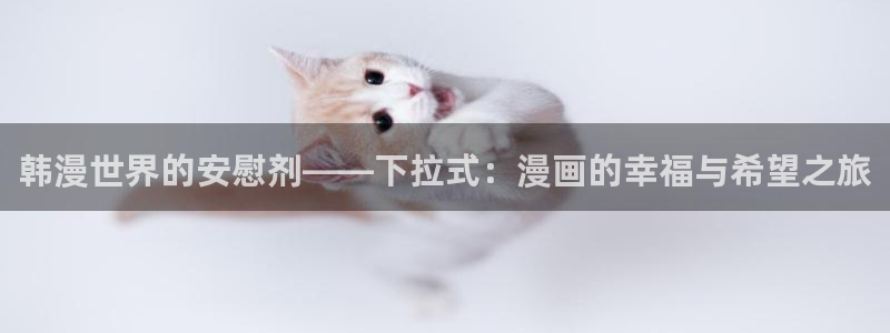 omofun动漫共和国：韩漫世界的安慰剂——下拉式：漫画的幸福与希望之旅