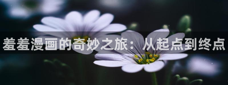 omofun:：羞羞漫画的奇妙之旅：从起点到终点