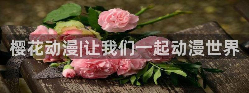 动漫之家入口安卓：樱花动漫|让我们一起动漫世界