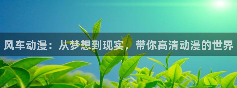 omofun官方下载入口：风车动漫：从梦想到现实，带你高清动漫的世界