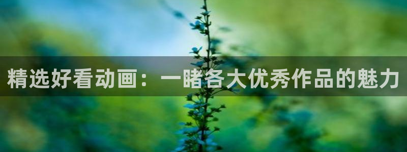 omofun动漫最新版本：精选好看动画：一睹各大优秀作品的魅力