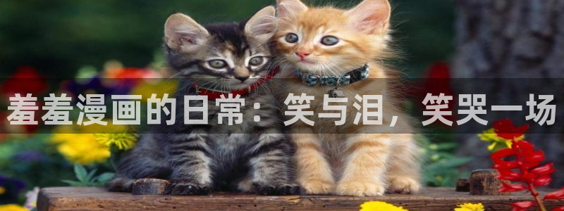 omofun正版下载安卓：羞羞漫画的日常：笑与泪，笑哭一场