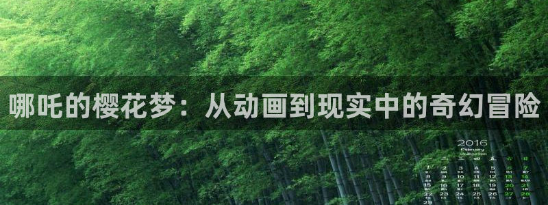 omofun动漫软件：哪吒的樱花梦：从动画到现实中的奇幻冒险