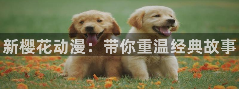 omofun 宕卧：新樱花动漫：带你重温经典故事