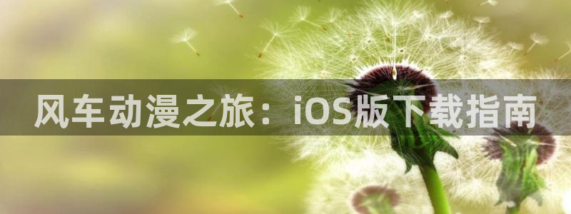 动漫共和国omofun：风车动漫之旅：iOS版下载指南