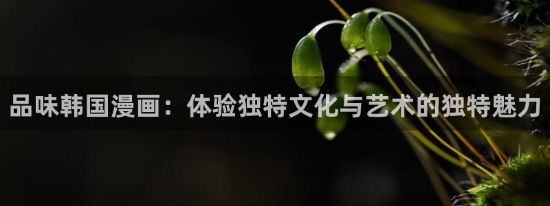 omofun动漫官网正版下载：品味韩国漫画：体验独特文化与艺术的独特魅力