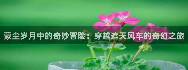 omofun动漫官方下载：蒙尘岁月中的奇妙冒险：穿越遮天风车的奇幻之旅